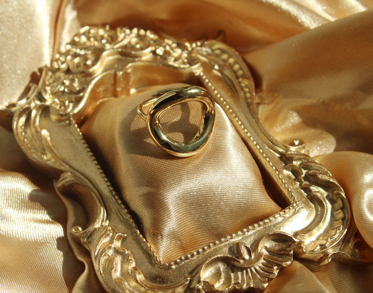 The Circle Ring - Gold